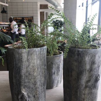 The Osprey - Australian Near Me - Brooklyn, New York