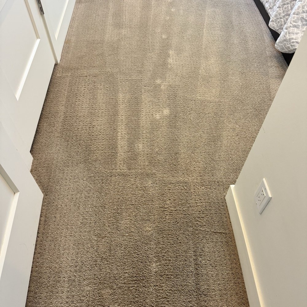 Coconut Cleaning - Carpet Cleaning Near Me - Chandler, Arizona Coconut Cleaning - Carpet Cleaning Near Me - Chandler, Arizona