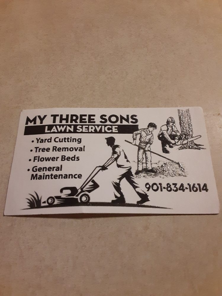 My Three Sons Lawn & Tree Service - tree service in Memphis, TN