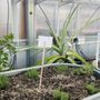 Photo of Grow + Gather