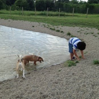Walnut Woods Dog Park - Dog Parks Near Me - Groveport, Ohio Walnut Woods Dog Park - Dog Parks Near Me - Groveport, Ohio