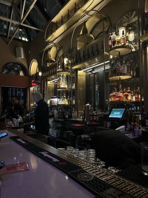 Elsie Rooftop by null