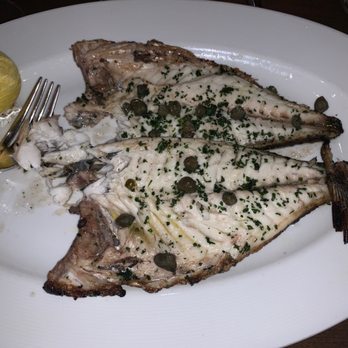 Opus Steakhouse - Fish special! Amazing! - Wine Bars Near Me - Jericho, New York Opus Steakhouse - Fish special! Amazing! - Wine Bars Near Me - Jericho, New York