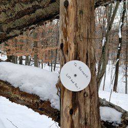 Zofnass Family Preserve