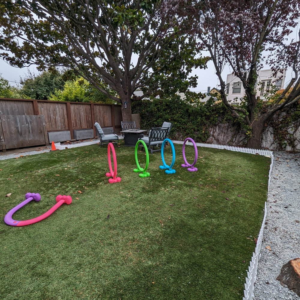 Mishka - backyard of event space (lounge) - Pet Stores Near Me - San Francisco, California