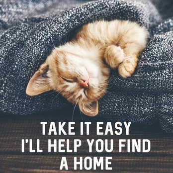 Stacey Mullins - ERA OakCrest Realty - www,WincRealEstate.com - Real Estate Agents Near Me - Winchester, Virginia Stacey Mullins - ERA OakCrest Realty - www,WincRealEstate.com - Real Estate Agents Near Me - Winchester, Virginia