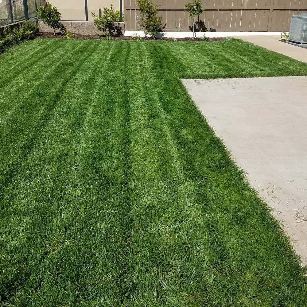 Gran Tierra - Beautiful and healthy lawn - Landscaping Near Me - San Marcos, California Gran Tierra - Beautiful and healthy lawn - Landscaping Near Me - San Marcos, California