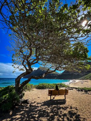 Makapuu Beach Park by null