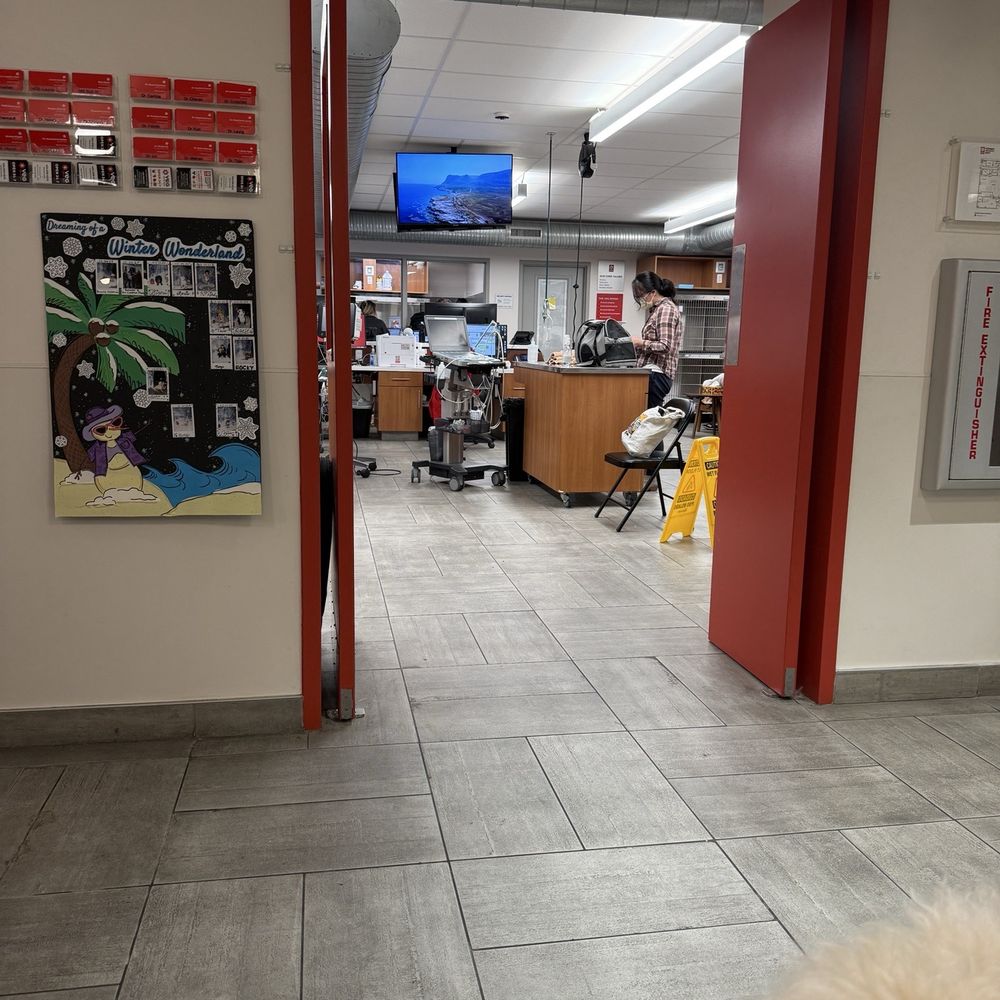 The triage ER that was so busy but there were only a handful of animals and at least 20 Dr's with their Starbucks. Waste of time The triage ER that was so busy but there were only a handful of animals and at least 20 Dr's with their Starbucks. Waste of time