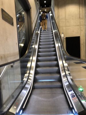 gambino hotel CINCINNATI by null