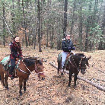 Cedar Crest Country Cottage and Stables - Horseback Riding Near Me - Cedar Crest, New Mexico