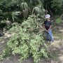 Photo of Tbone Tree Service Environmental Care
