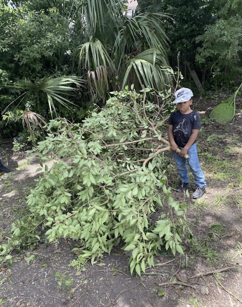 Tbone Tree Service Environmental Care - tree service in Savannah, GA