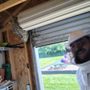 Photo of BioStrike Pest & Mosquito