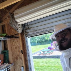 BioStrike Pest & Mosquito - Selfie of technician performing a bees nest removal