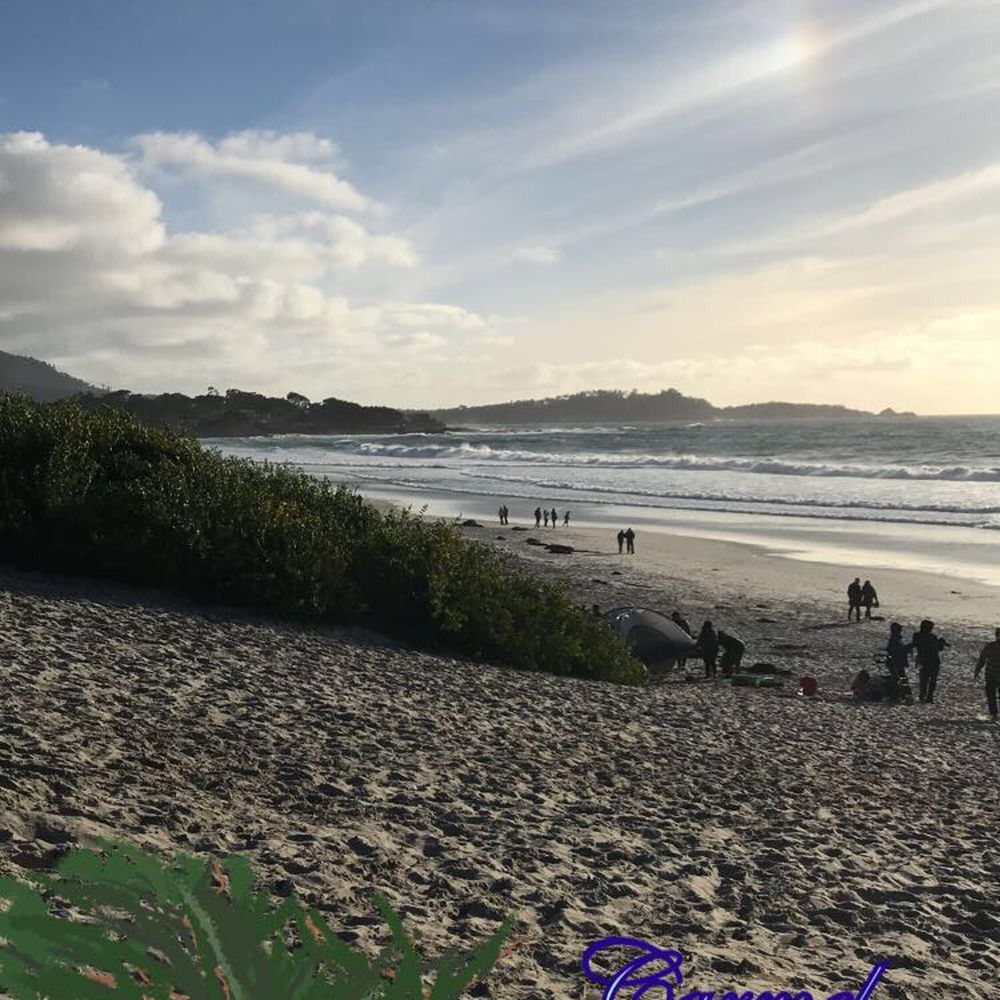 Tower Tours - Wine Tours Near Me - San Francisco, California Tower Tours - Wine Tours Near Me - San Francisco, California