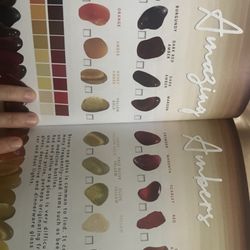 Barnes & Noble - SeaGlass Hunters Guide (1 of 4 recent purchases)