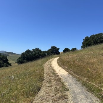 Helen Putnam Regional Park - trail - Hiking Near Me - Petaluma, California Helen Putnam Regional Park - trail - Hiking Near Me - Petaluma, California