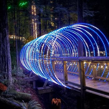 Capilano Suspension Bridge Park - Parks Near Me - North Vancouver, British Columbia
