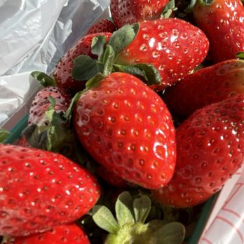 Madison Street Produce - Oh so strawberry!!! - Fruits & Veggies Near Me - Indio, California Madison Street Produce - Oh so strawberry!!! - Fruits & Veggies Near Me - Indio, California