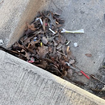 Hampton Inn Bainbridge - Cigarette butts accumulating in the parking lot, which has not been cleaned in days - Hotels Near Me - Bainbridge, Georgia Hampton Inn Bainbridge - Cigarette butts accumulating in the parking lot, which has not been cleaned in days - Hotels Near Me - Bainbridge, Georgia