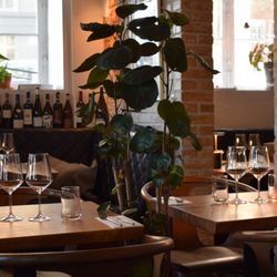 Garden Restaurant & Vin bar - Our cozy restaurant.