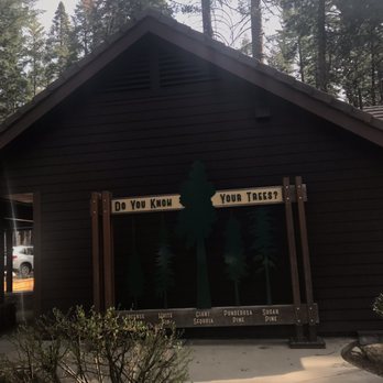 Calaveras Big Trees State Park - Parks Near Me - Arnold, California
