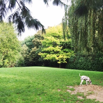 Parc à Chiens - Dog Parks Near Me - La Madeleine, 59 Parc à Chiens - Dog Parks Near Me - La Madeleine, 59