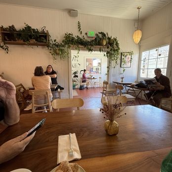 Marla SR - Bakeries Near Me - Santa Rosa , California Marla SR - Bakeries Near Me - Santa Rosa , California