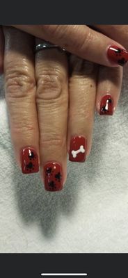 American Beauty by null