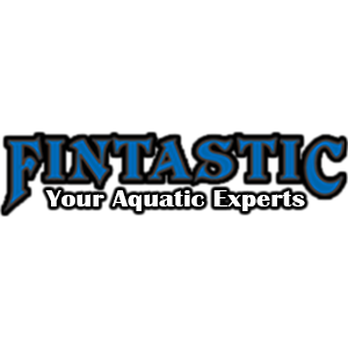 Fintastic - Aquarium Services Near Me