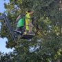 Photo of High Country Tree Service
