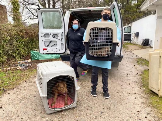 SPCA of Wake County by null