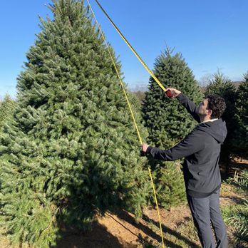Snickers Gap Christmas Tree Farm - Christmas Trees Near Me - Round Hill, Virginia Snickers Gap Christmas Tree Farm - Christmas Trees Near Me - Round Hill, Virginia