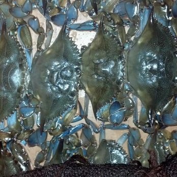 Outerbanks Seafood - Soft crabs - Seafood Markets Near Me - Beaufort, North Carolina Outerbanks Seafood - Soft crabs - Seafood Markets Near Me - Beaufort, North Carolina