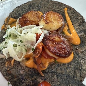 Holbox - Scallop Taco - Latin American Near Me - Los Angeles, California Holbox - Scallop Taco - Latin American Near Me - Los Angeles, California