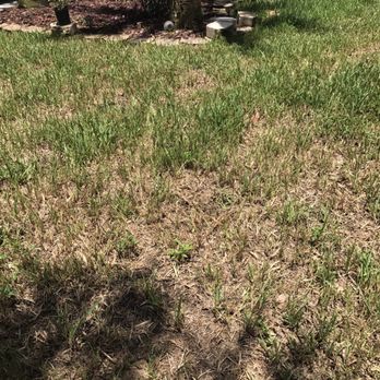 A A A Garden Center - Nurseries & Gardening Near Me - Lake Worth, Florida