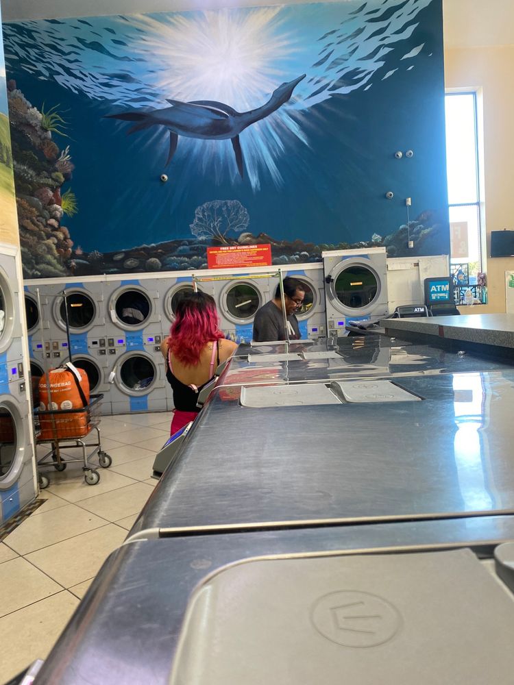MANCHESTER LAUNDRY 29 Photos & 29 Reviews 2745 W Manchester Blvd