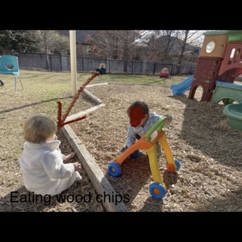 Apex Academy - Eating wood chips !! - Child Care & Day Care Near Me - North Richland Hills, Texas
