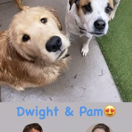 Lol they even will include cute office references lol my boy Dwight and his friend Pam!