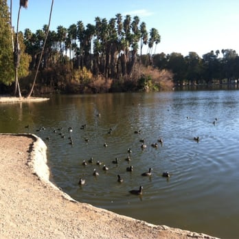 Fairmount Park - Island of Palm trees - Parks Near Me - Riverside, California Fairmount Park - Island of Palm trees - Parks Near Me - Riverside, California