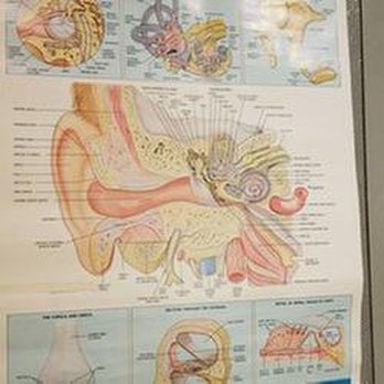 McCurley Hearing Design - untitled - Hearing Aid Providers Near Me - Albuquerque, New Mexico