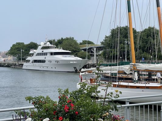 City Cruises by null