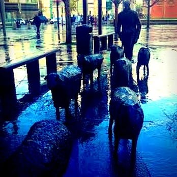 Belfast Waterfront Hall - Sculpture outside showing all types of culture vultures love sheep? - Performing Arts Near Me - Belfast, BFS
