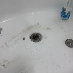 Sebastian Plumber & Handyman - Done with drain
