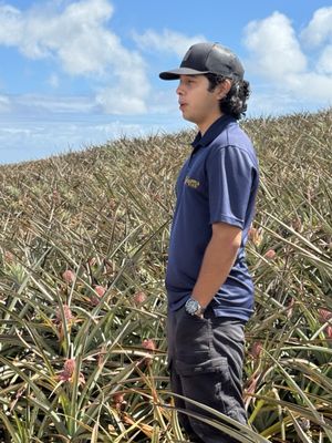 Maui Pineapple Tour by null