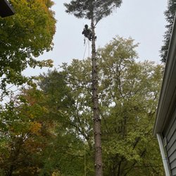 Clark Tree Service