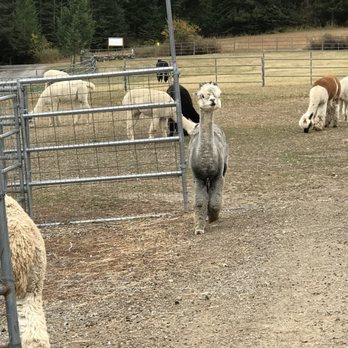 Seven Stars Ranch - Ranches Near Me - Coeur d'Alene, Idaho Seven Stars Ranch - Ranches Near Me - Coeur d'Alene, Idaho