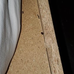 Re/Max Cove Mountain Realty & Cabin Rentals - BED BUGS