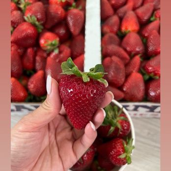 Nicolson's Strawberries - Fruits & Veggies Near Me - Rancho Cucamonga, California